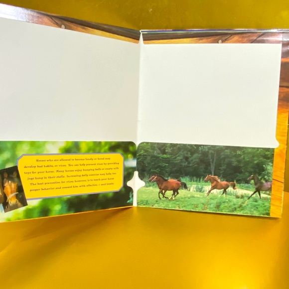 HORSES VINTAGE 90’s PORTFOLIO 3 RING BINDER FOLDERS BUNDLE OF 3 GREAT FOR SCHOOL - Picture 9 of 13